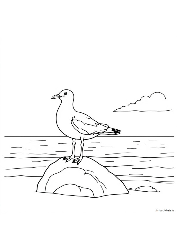 Printable Seagull Coloring Page