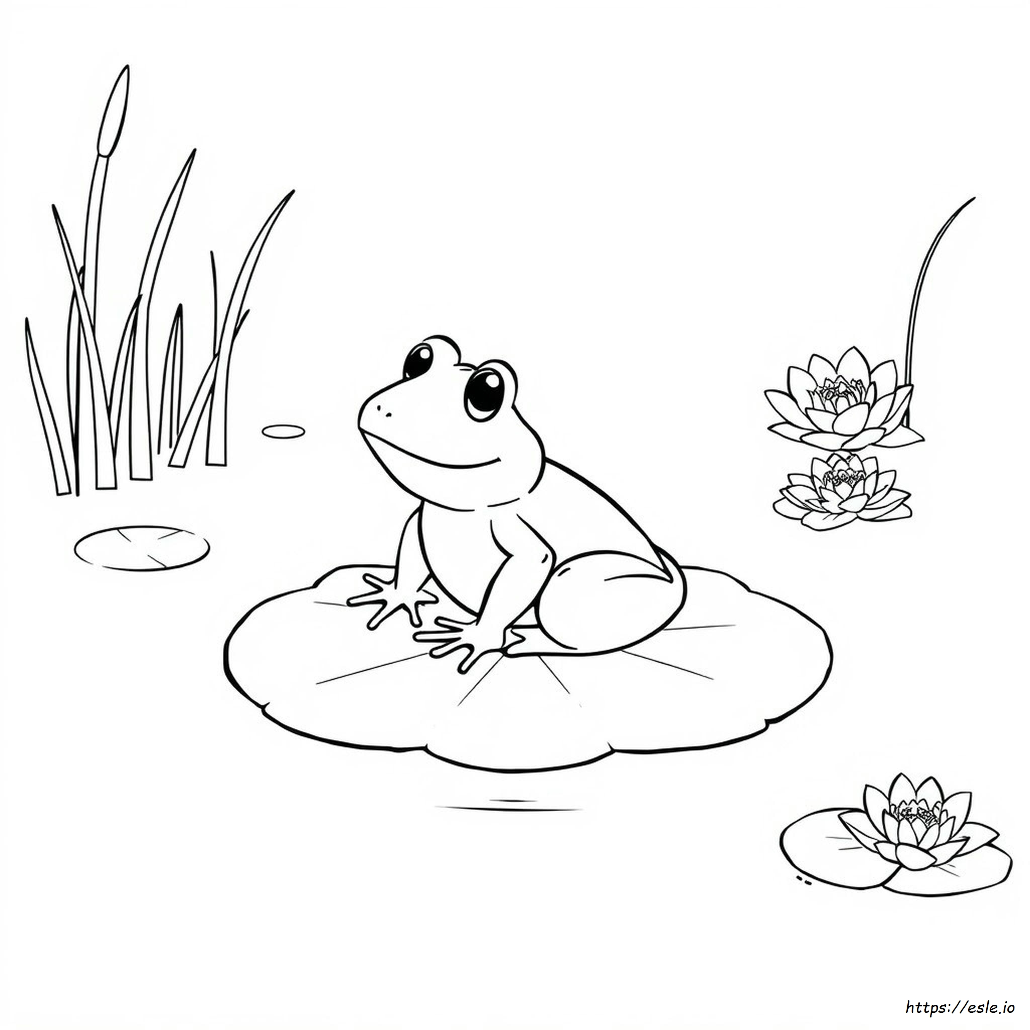 Ranas Para Colorear