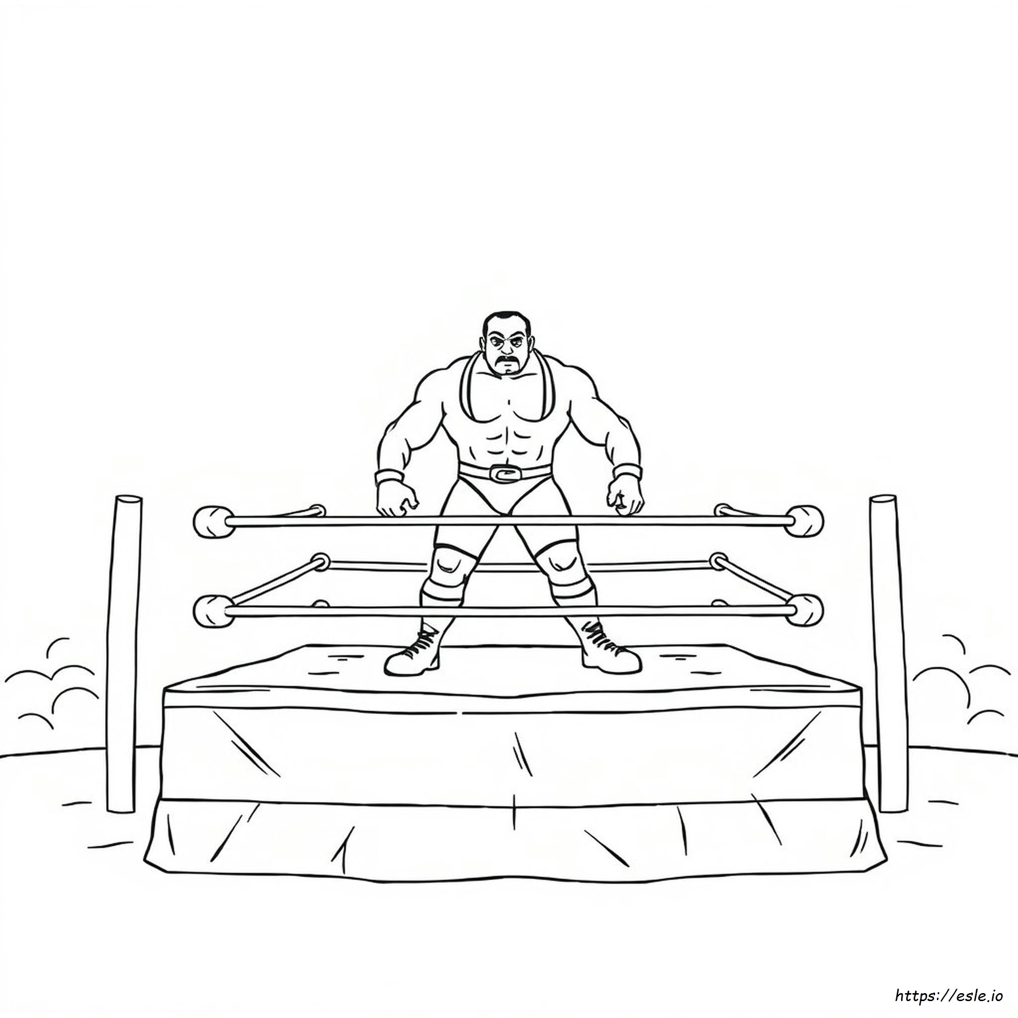 Coloriage De Lutte À Imprimer