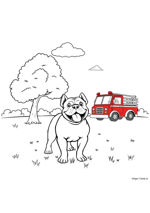 American Bully Coloring Pages