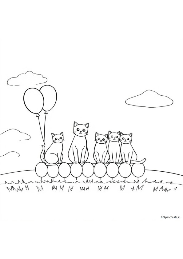 Different Colors For Cats