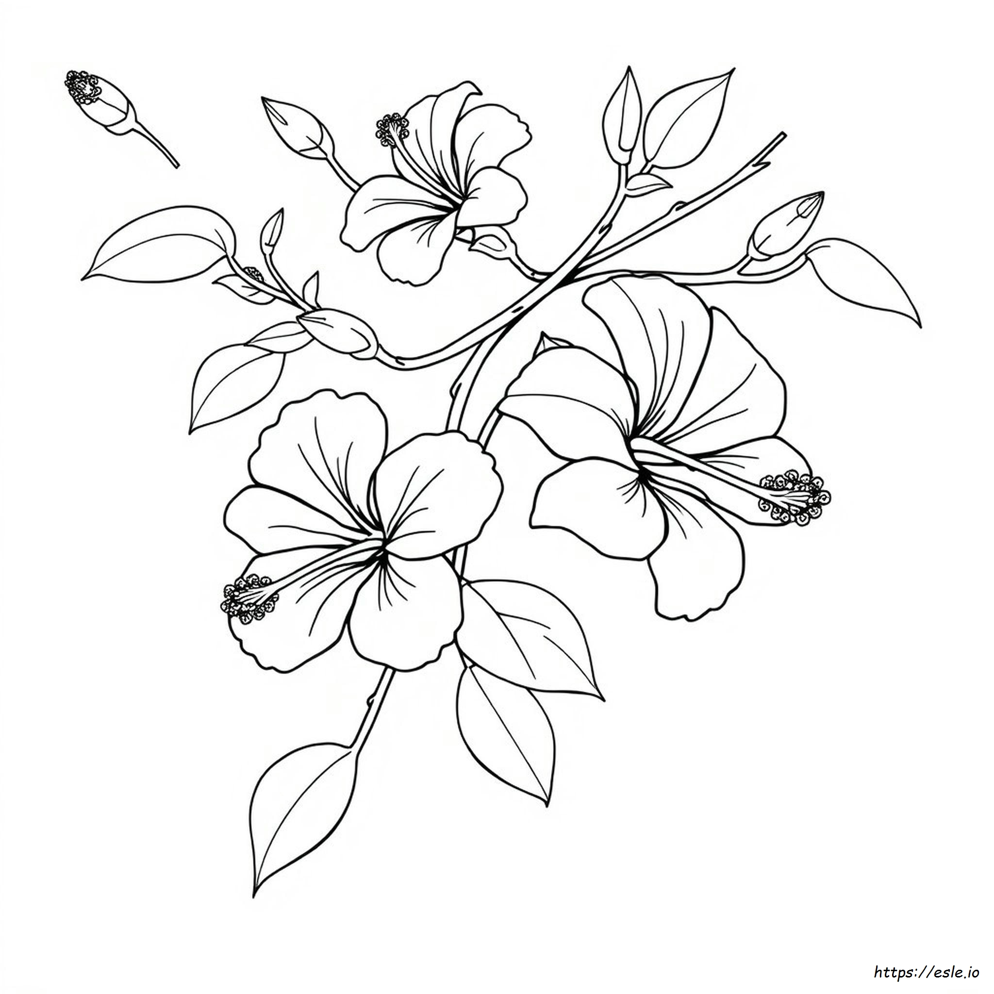 Free Printable Hibiscus Coloring Pages
