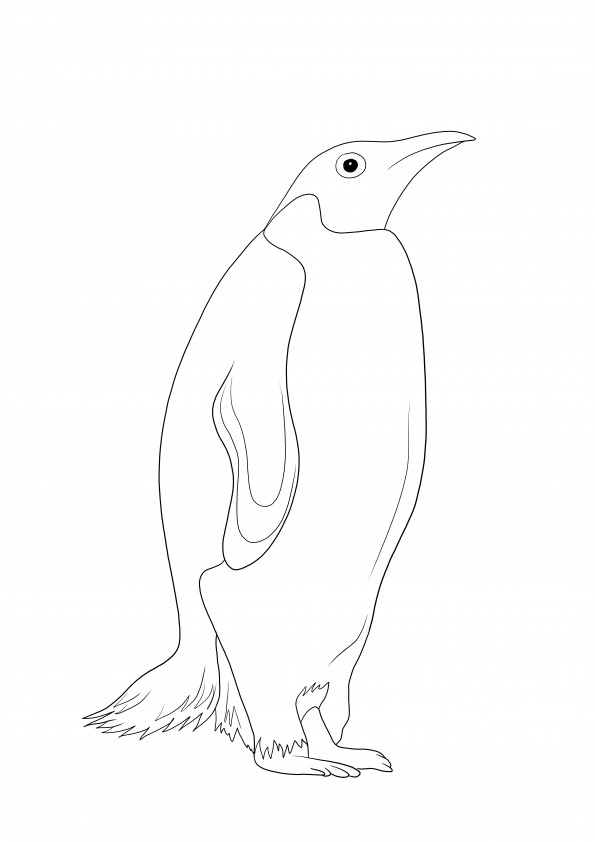 The smart and free coloring sheet of a penguin-a great tool to learn about sea animals