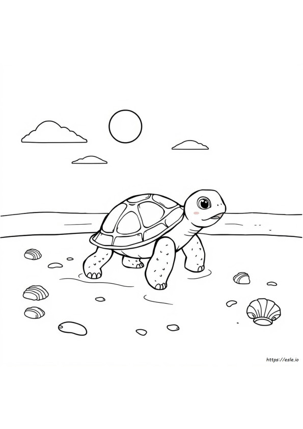Schattige Schildpad Kleurplaten