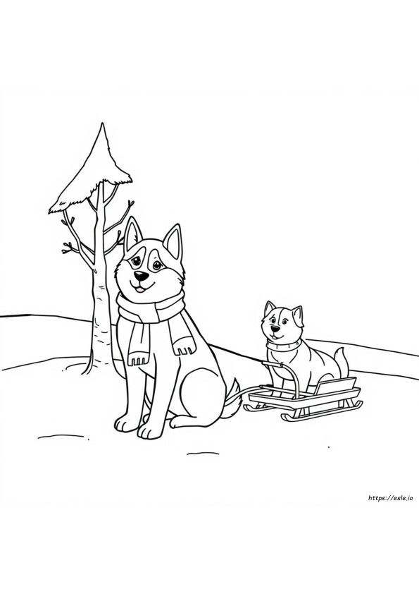 Husky Ausmalbilder