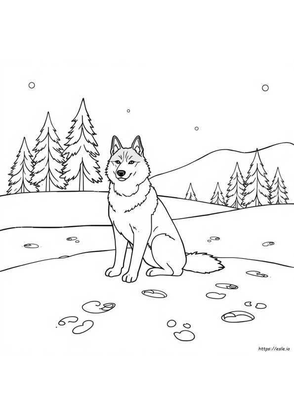 Anjing Husky Gambar Mewarnai Untuk Dewasa