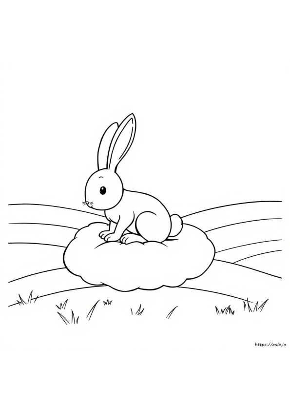 Hop Coloring