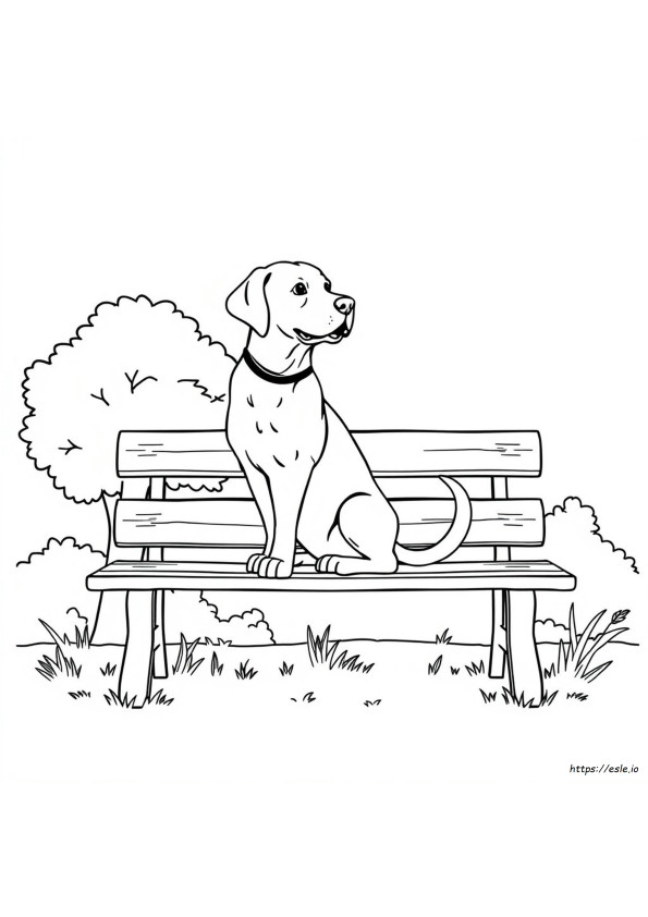 Yazdırılabilir Labrador Boyama Sayfası