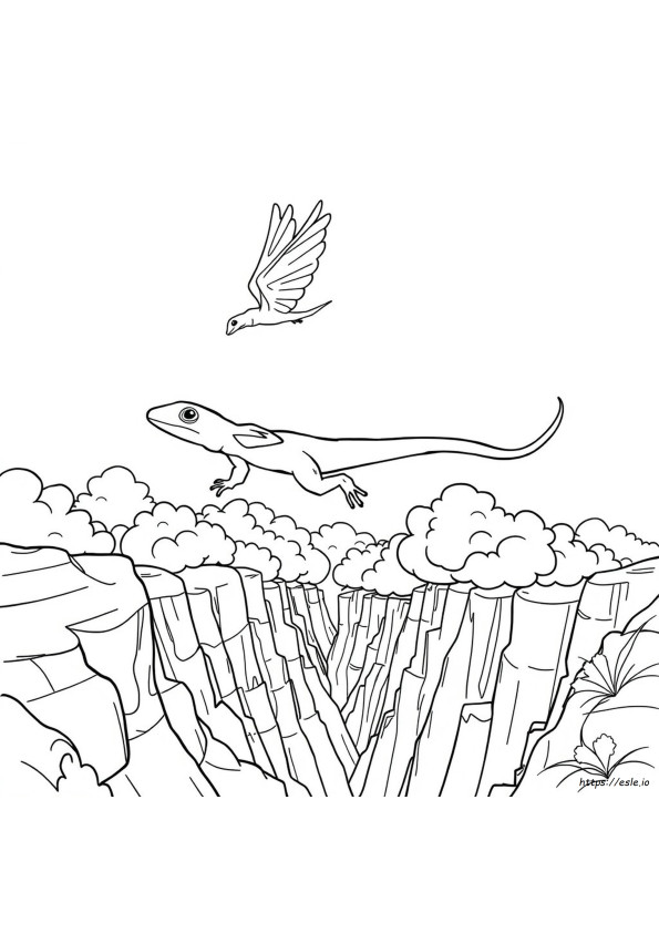 Lagarto Volador Para Colorear