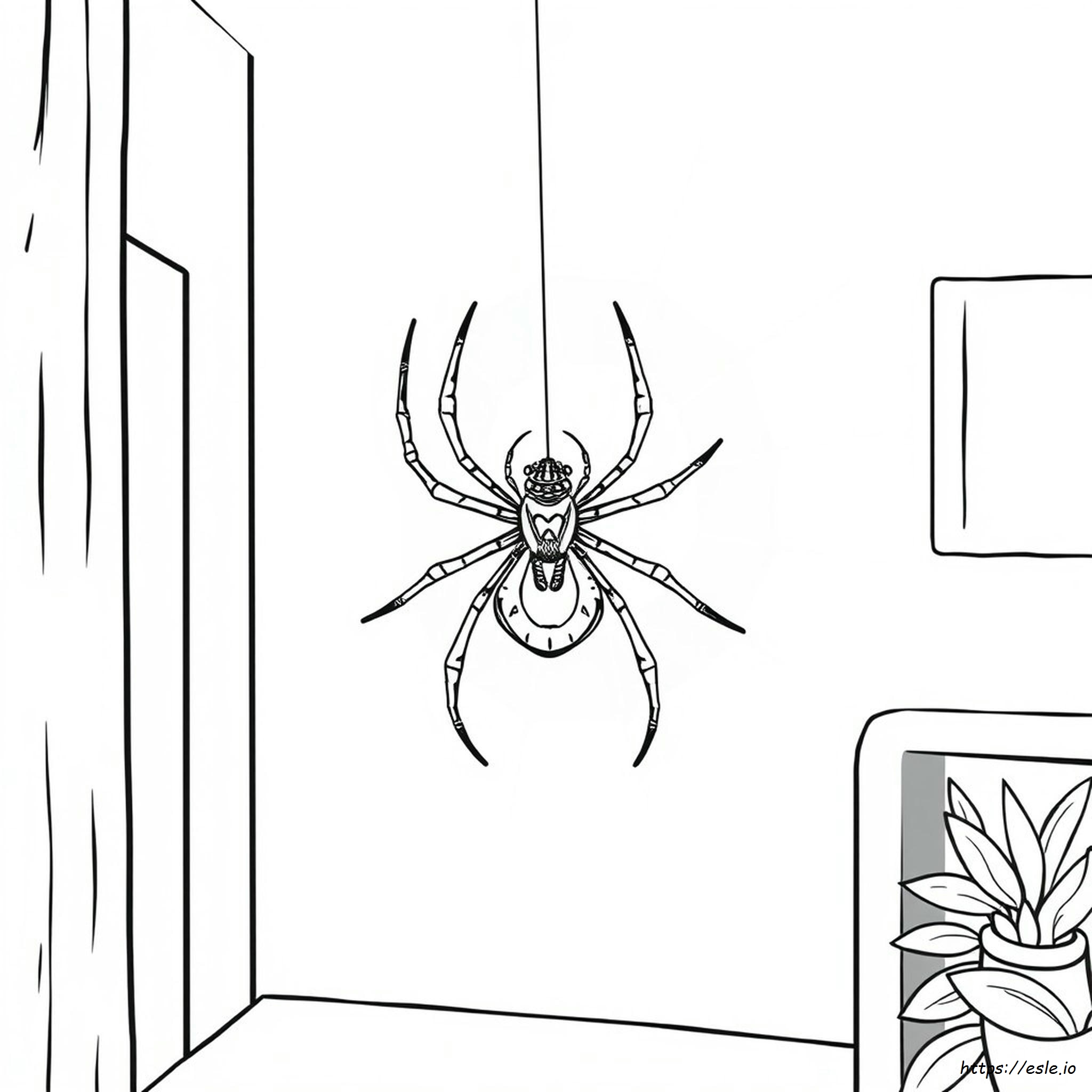 Black Widow Spider Coloring Pages