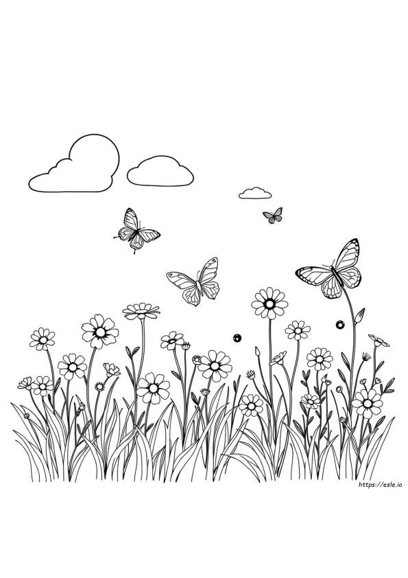 Jody Bergsma Coloring Pages