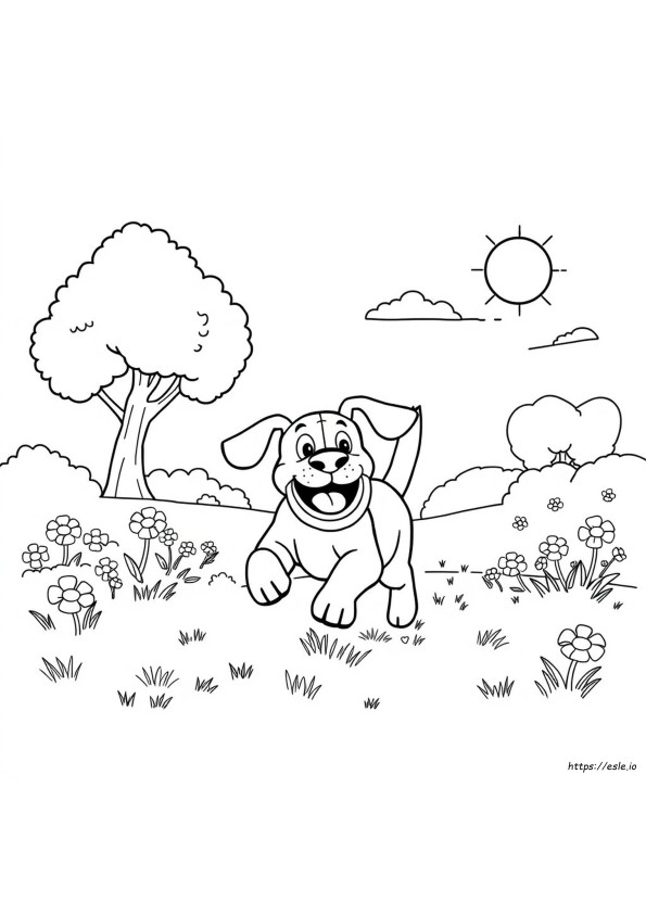 Go Dog Go Coloring