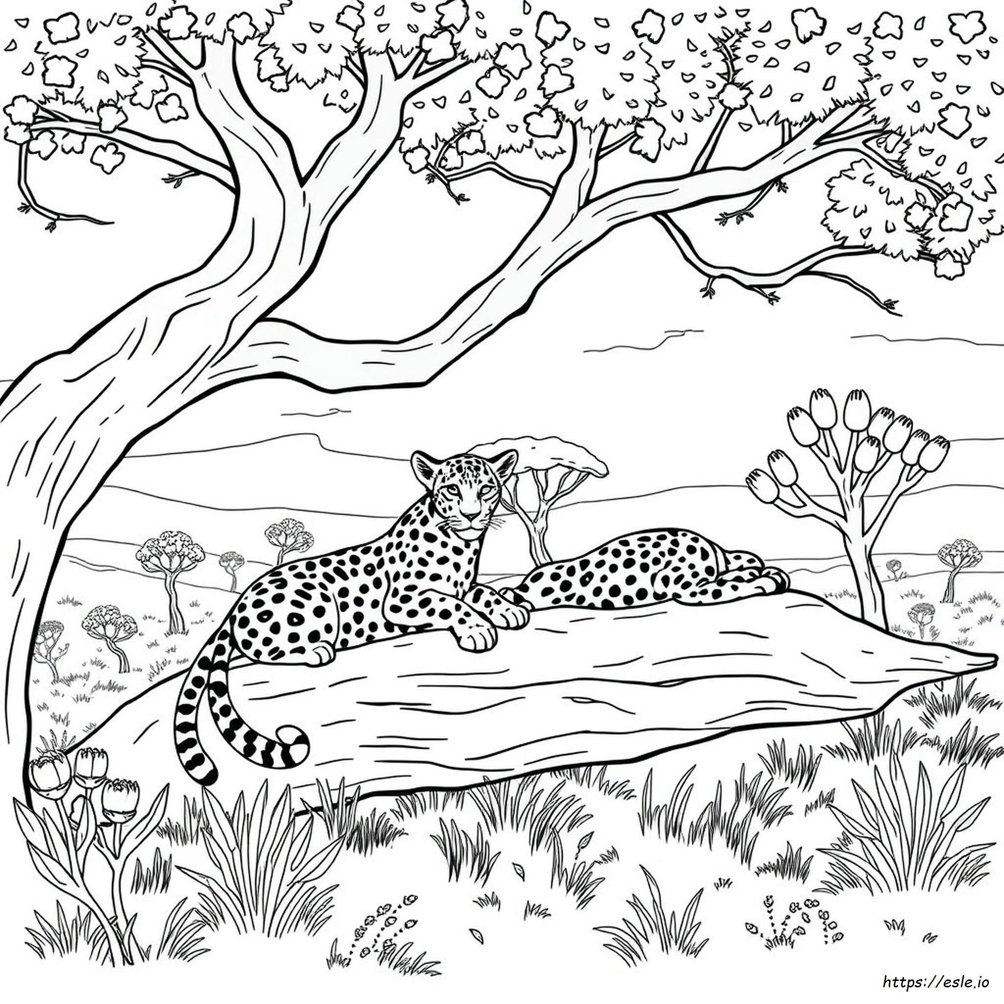 Leopard Coloring Pages