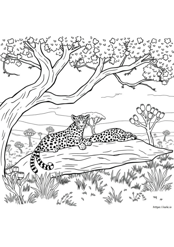 Leopard Coloring Pages