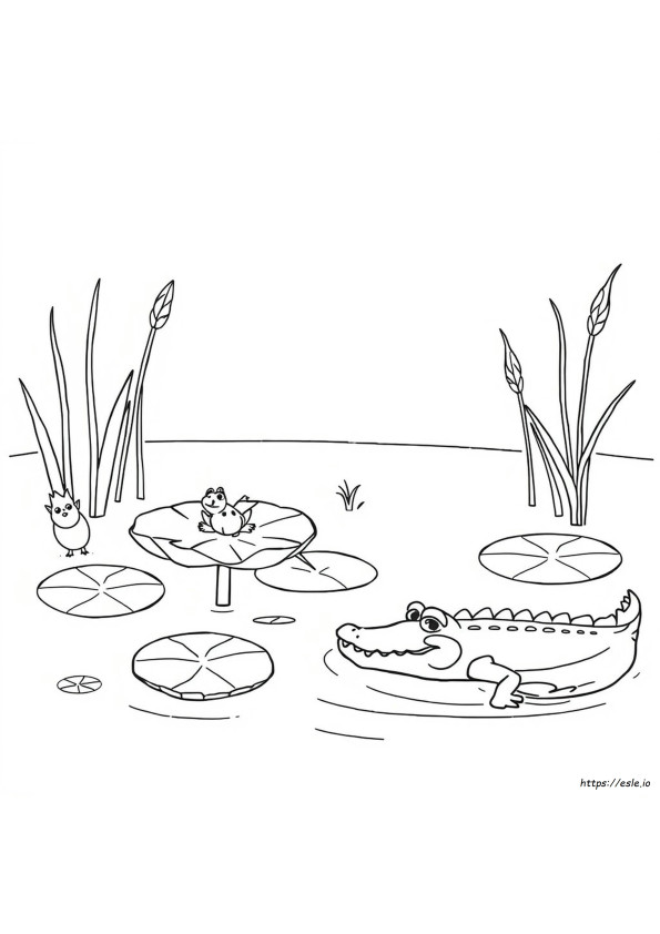 Swamp Coloring Sheet