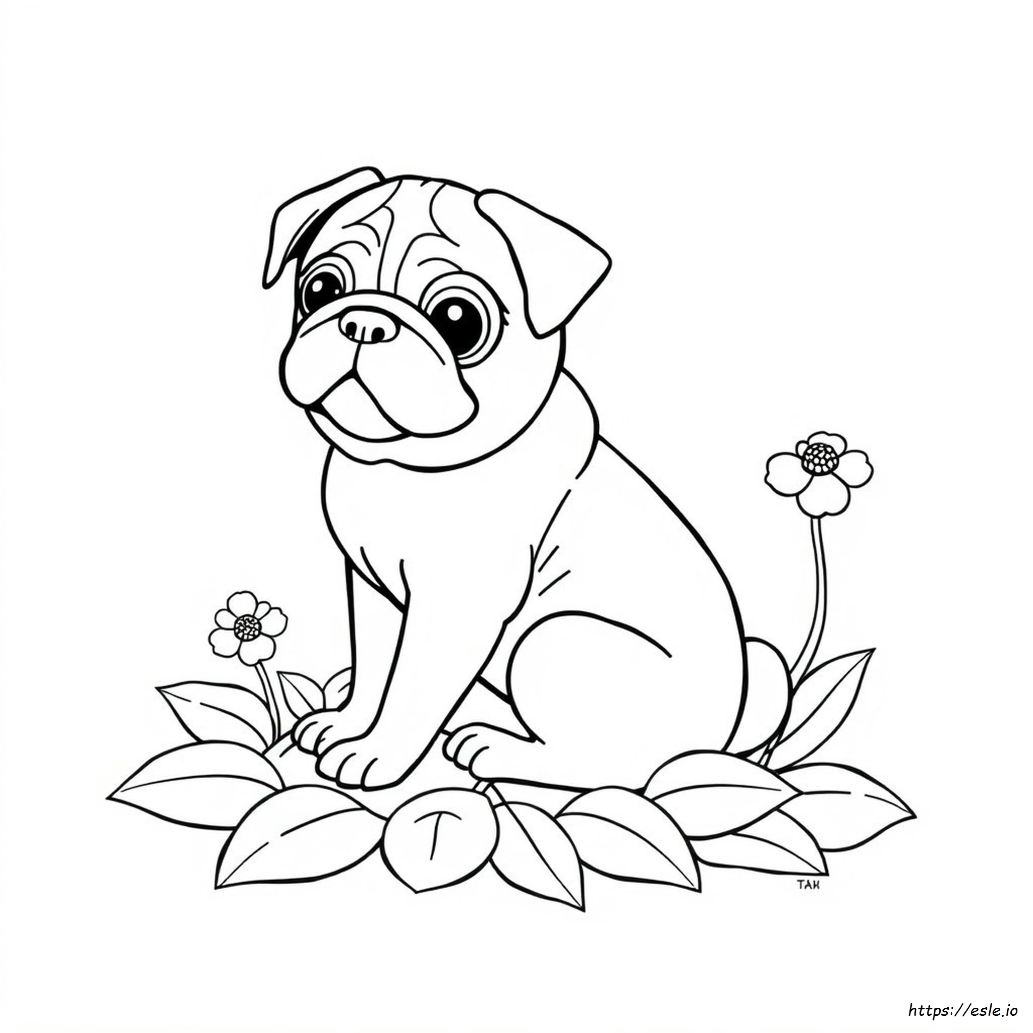 Pug Colouring Page