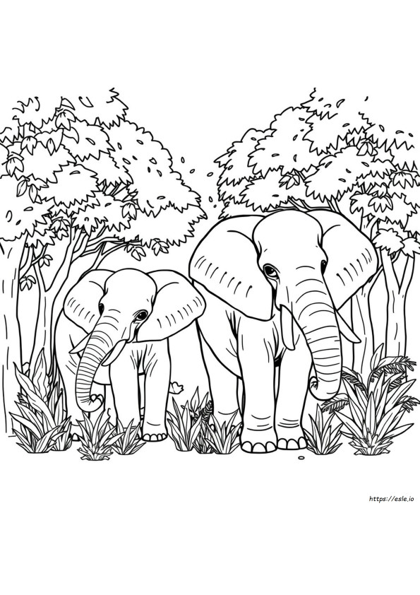 Desenhos Para Colorir De Elefante Realista Para Imprimir