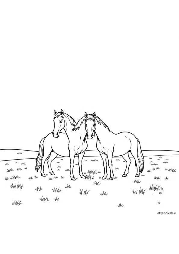 Cavalos Para Colorir