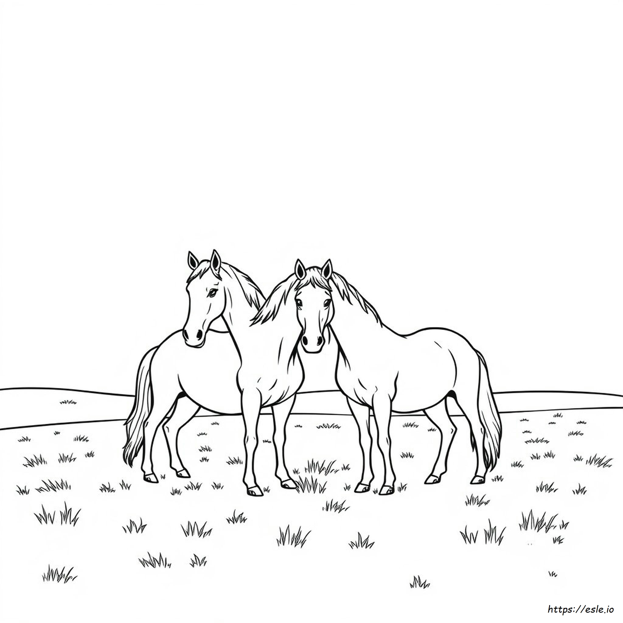 Colouring In Horses