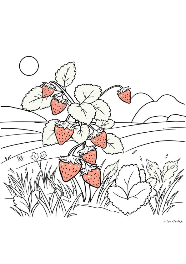Coloring Pages For Strawberry