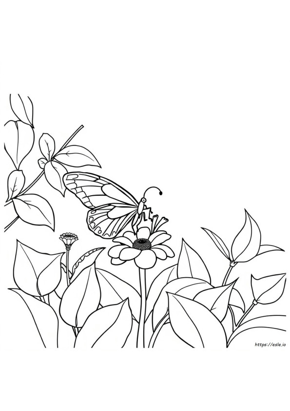 Mariposa Para Colorear Pdf