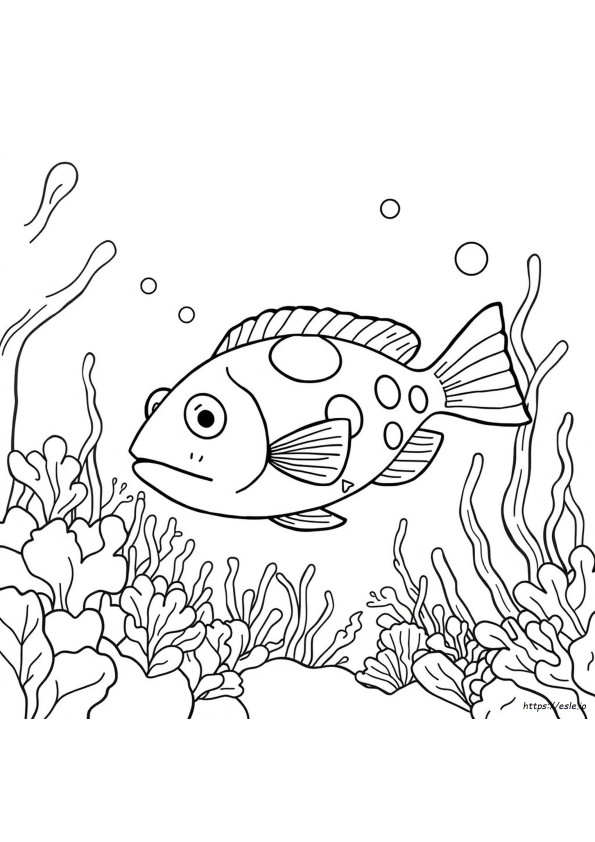 Puffer Fish Coloring Page
