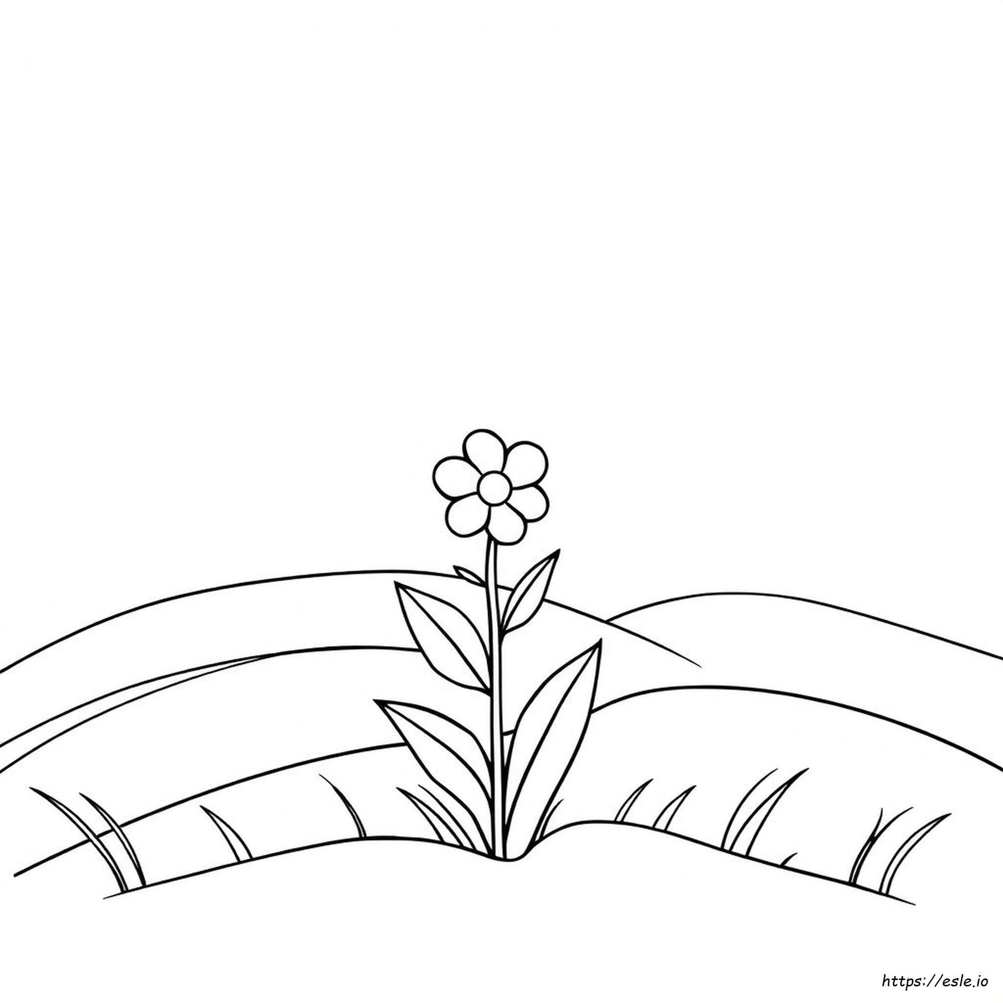 Simple Flower Coloring Pages Pdf