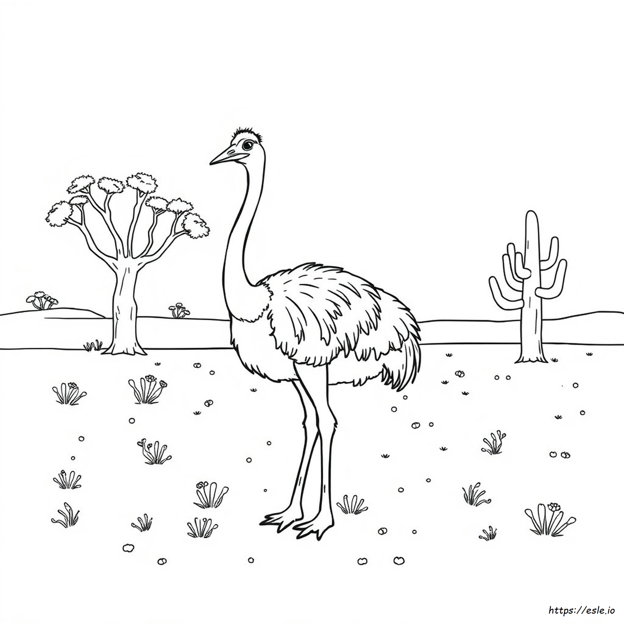 Coloriage Autruche Coloriage Autruche