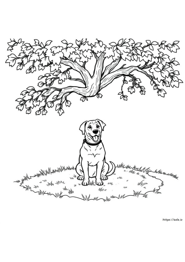 Coloriages De Chiens Réalistes