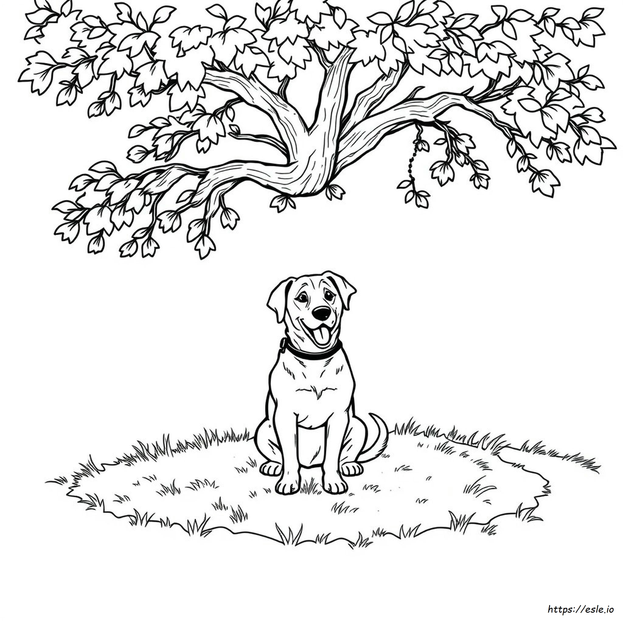 Coloring Pages Of Realistic Dogs