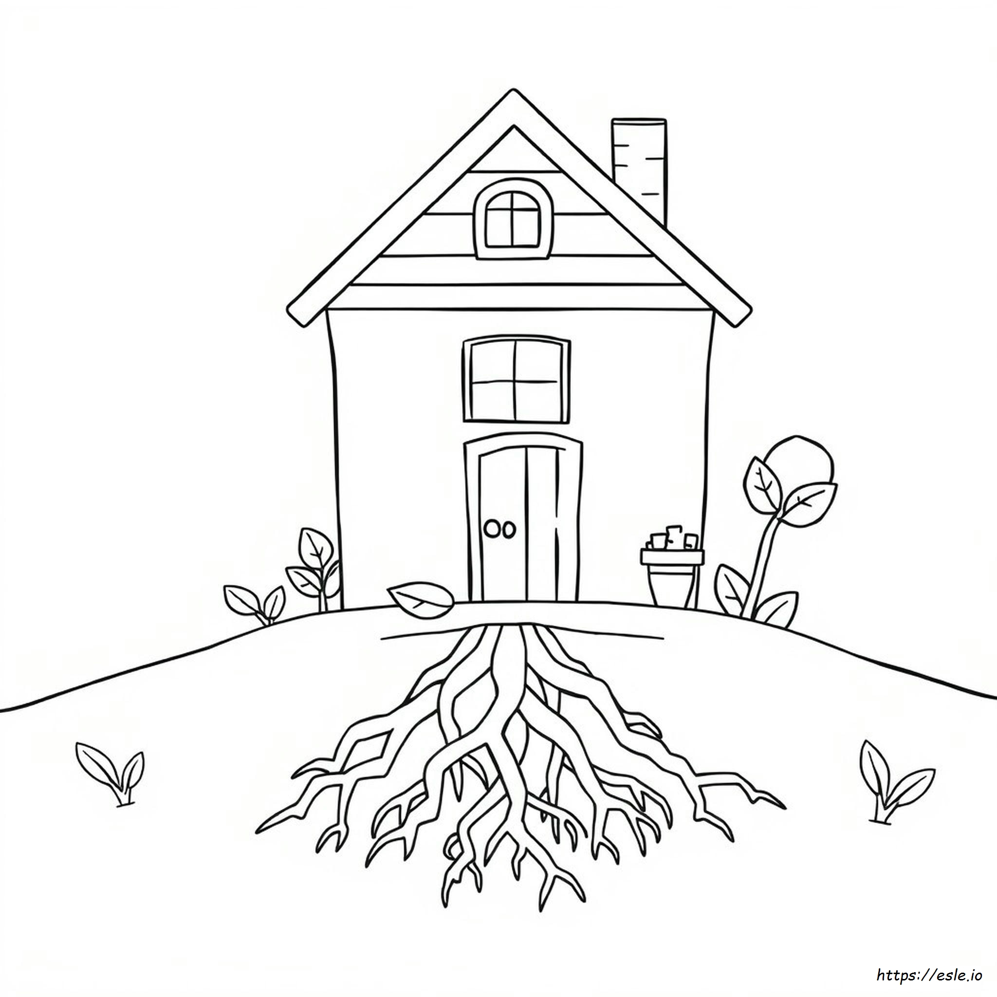 Coloring Roots At Home
