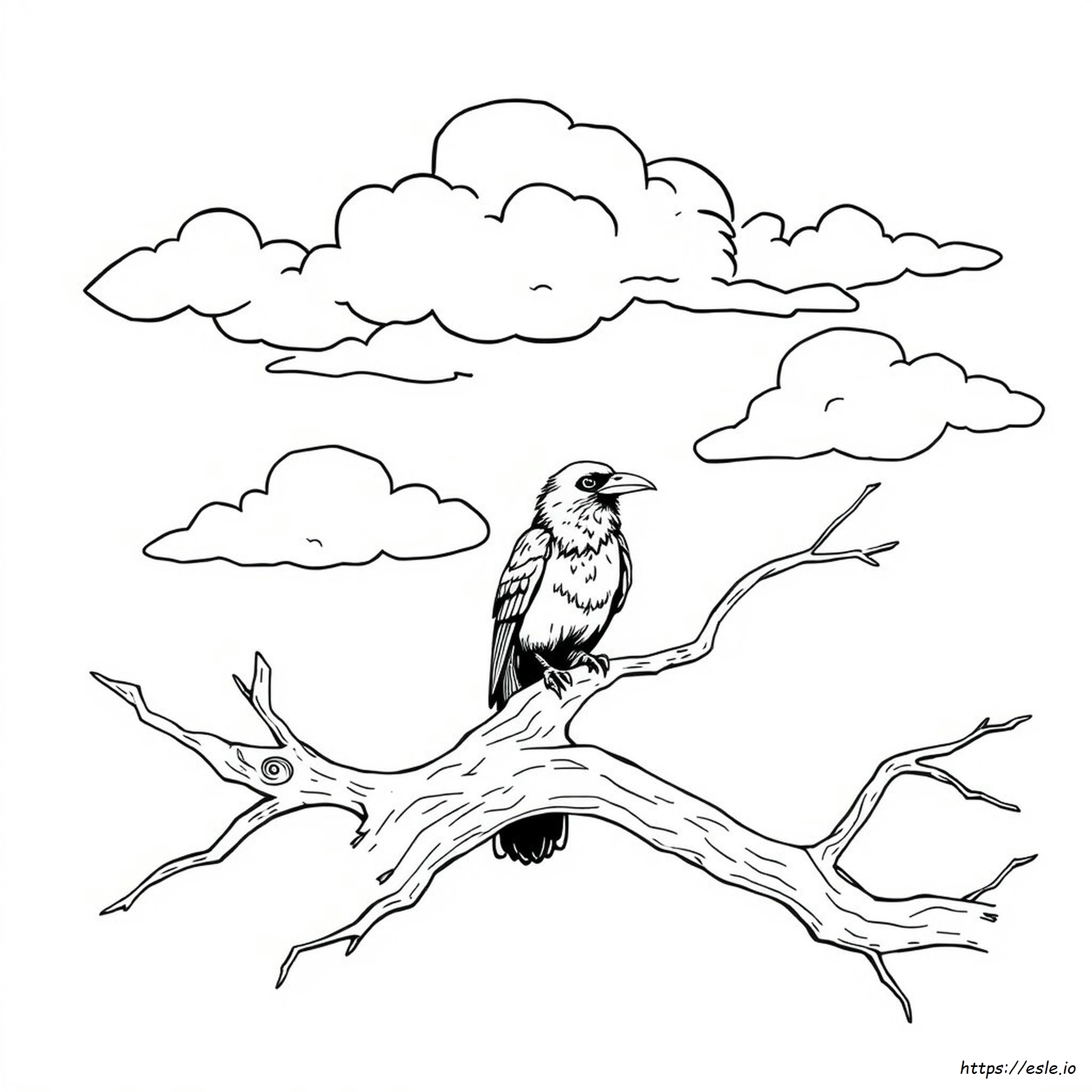 Raven Coloring Page