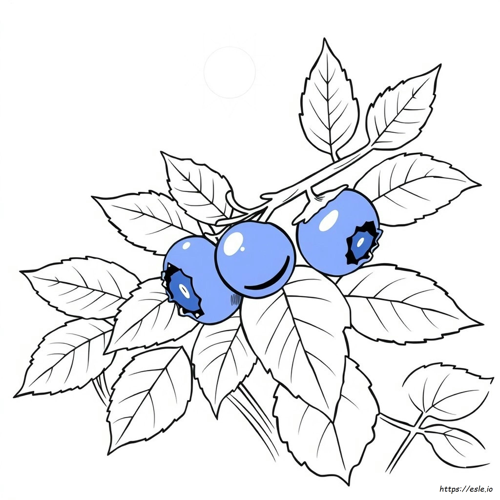 Blueberry Coloring Page