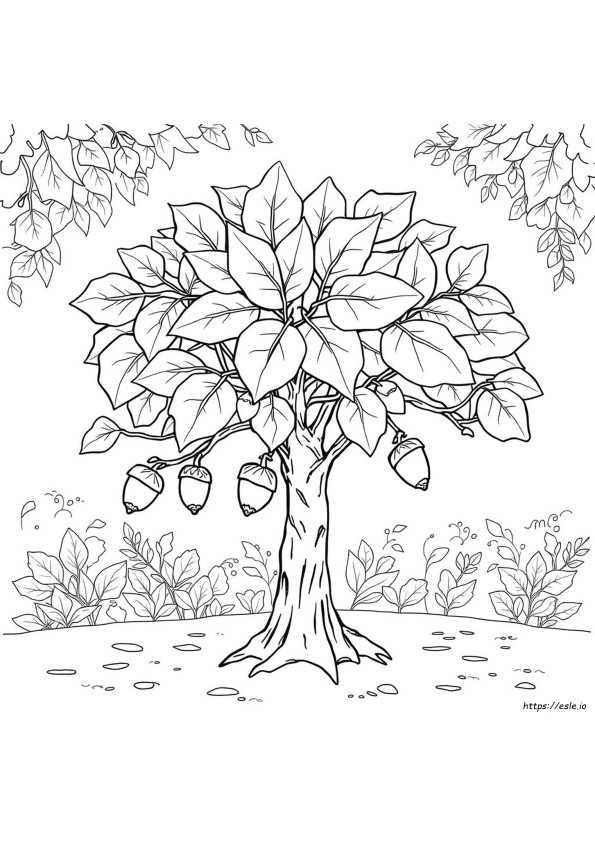 Buckeye Coloring Pages