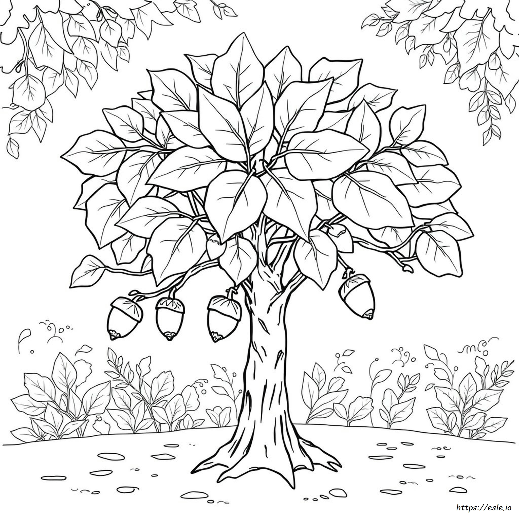 Coloriages Buckeye