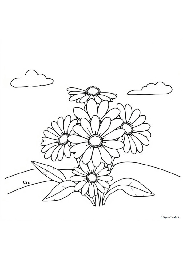 Pétalos De Margarita Para Colorear