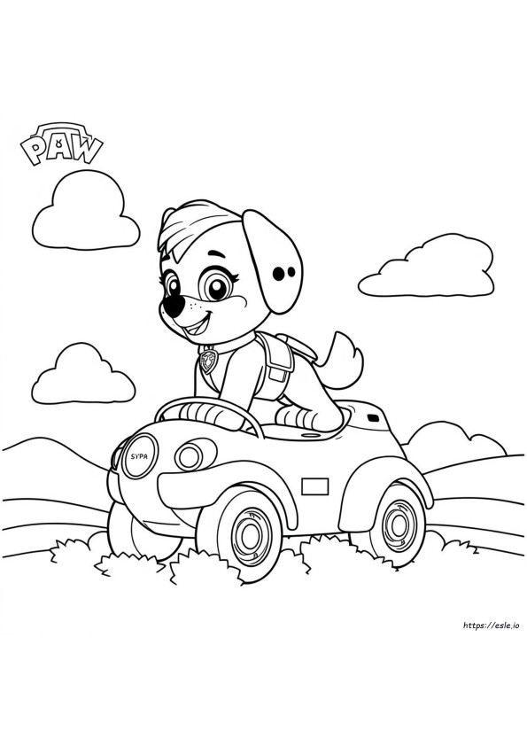 Skye Kolay Paw Patrol Boyama Sayfaları