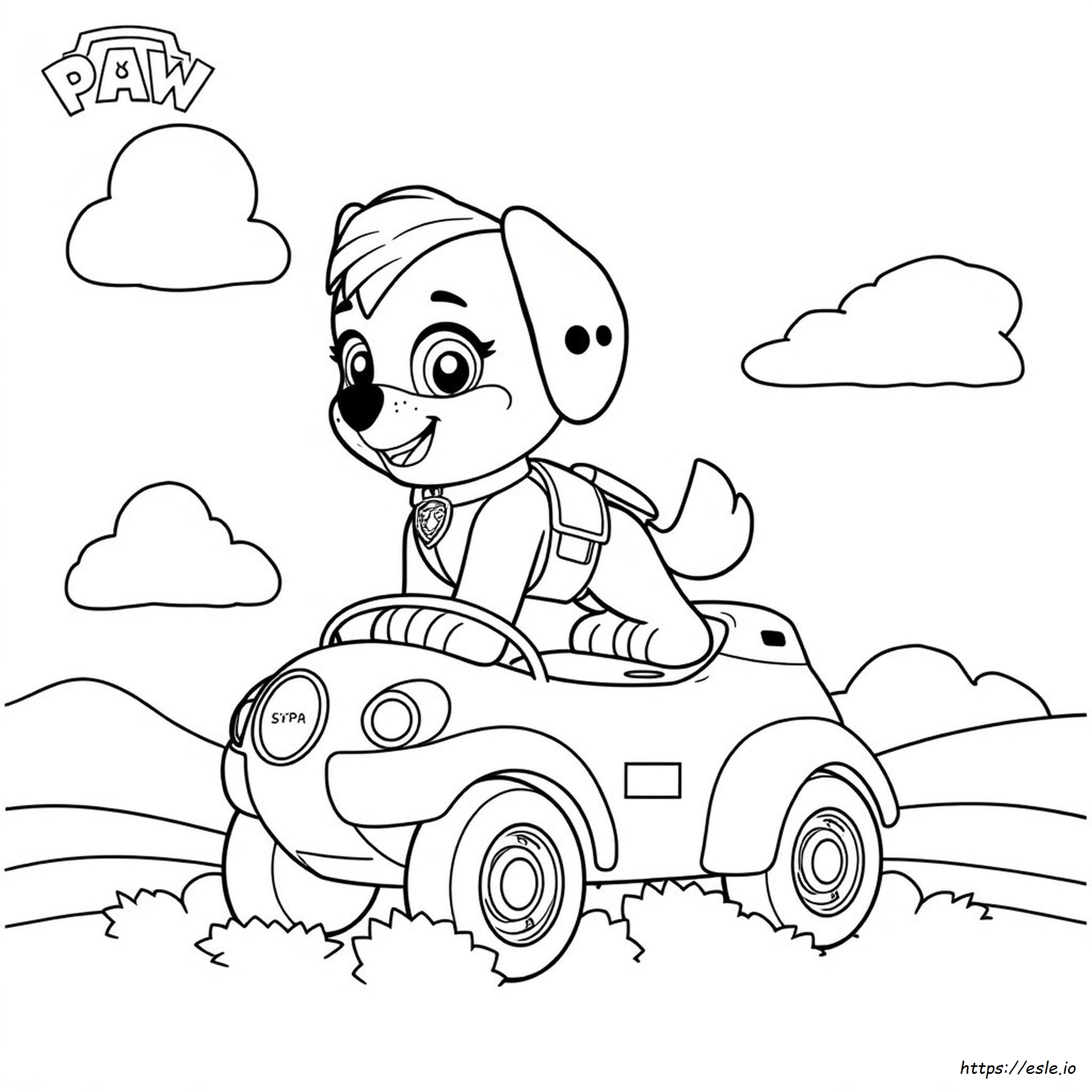 Skye Paw Patrol Disegni Da Colorare Facili