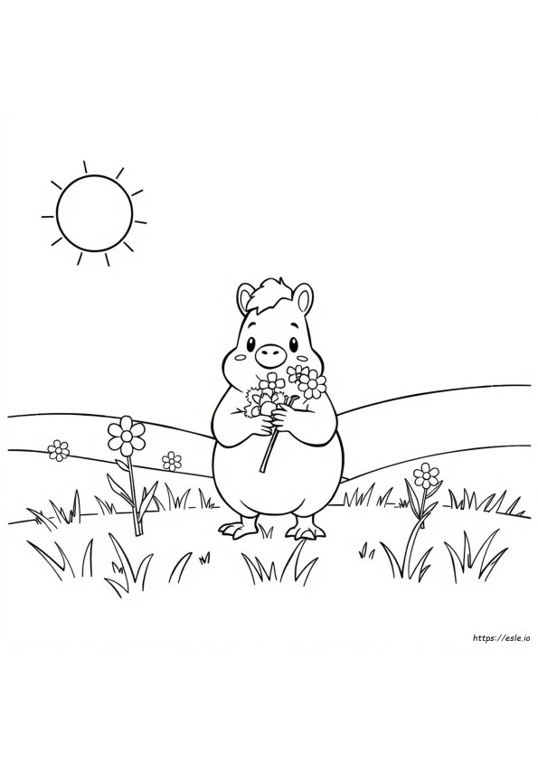 Hogi Coloring Pages