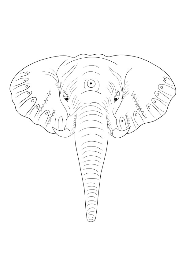 Imagine ușoară de colorat cu cap de elefant gratuit pentru descărcare sau salvare pentru mai târziu