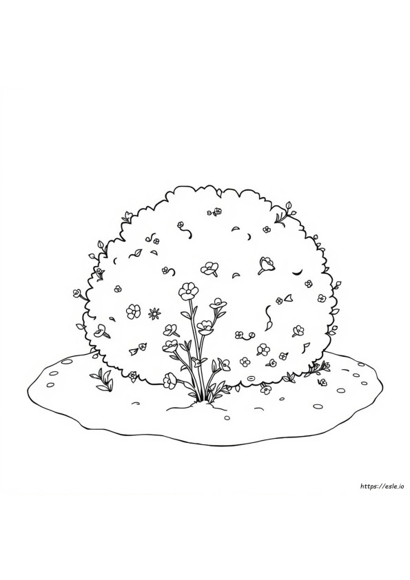 Bush Coloring