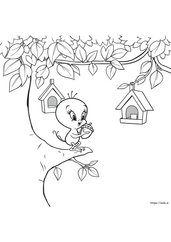 Tweety Coloring