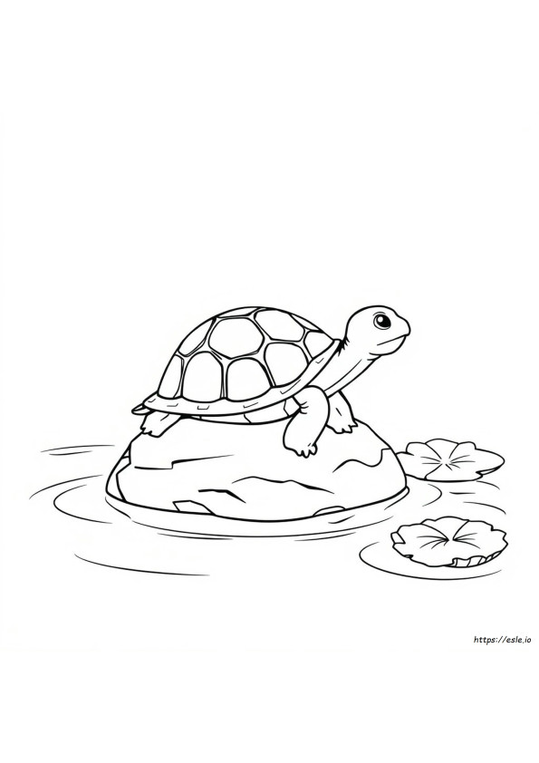 Makkelijke Schildpad Kleurplaten
