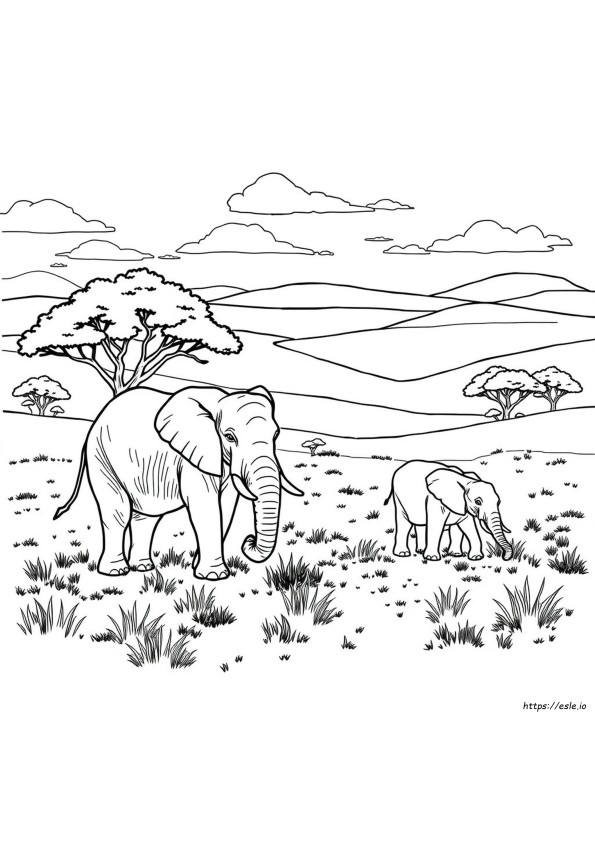 Elephant Adult Coloring Page