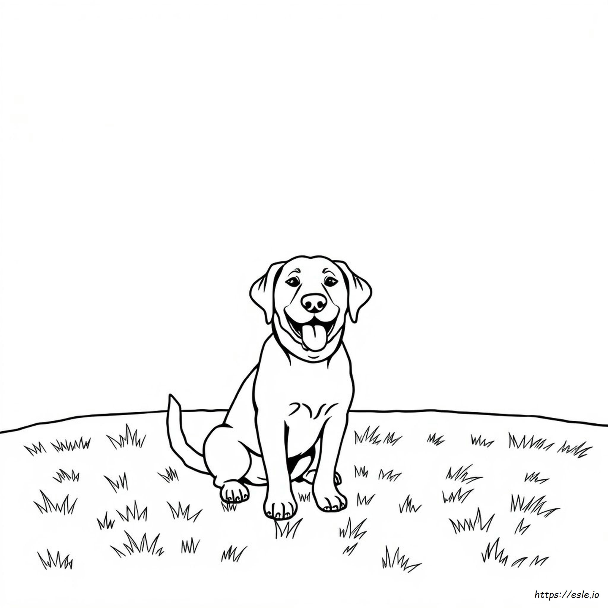 Coloring Pages Of Labrador Retrievers