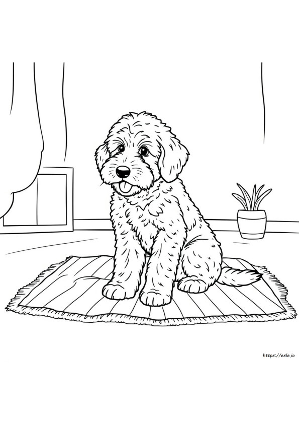 Labradoodle Värityskuvat