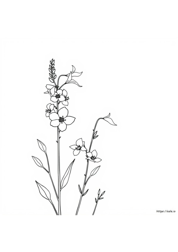 Larkspur Flower Coloring Page