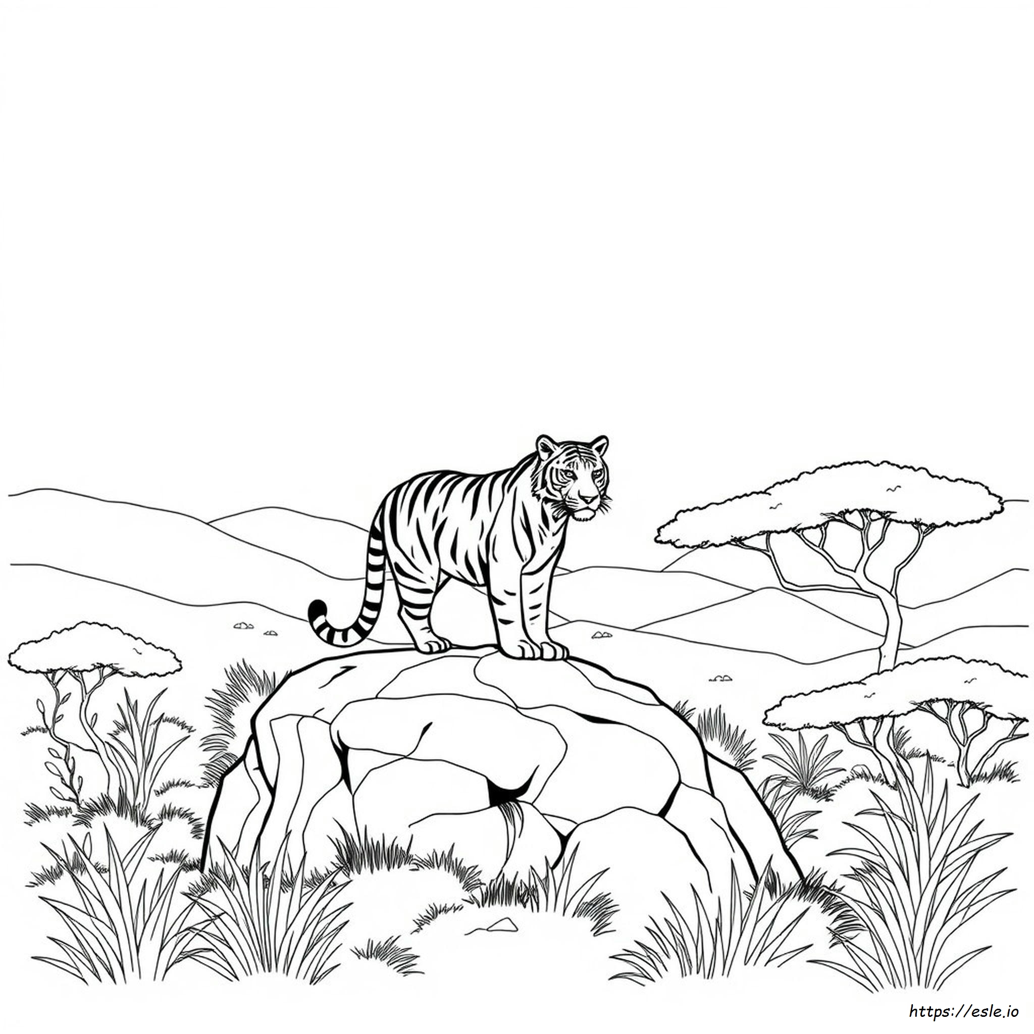 Coloring Pages Of Tiger