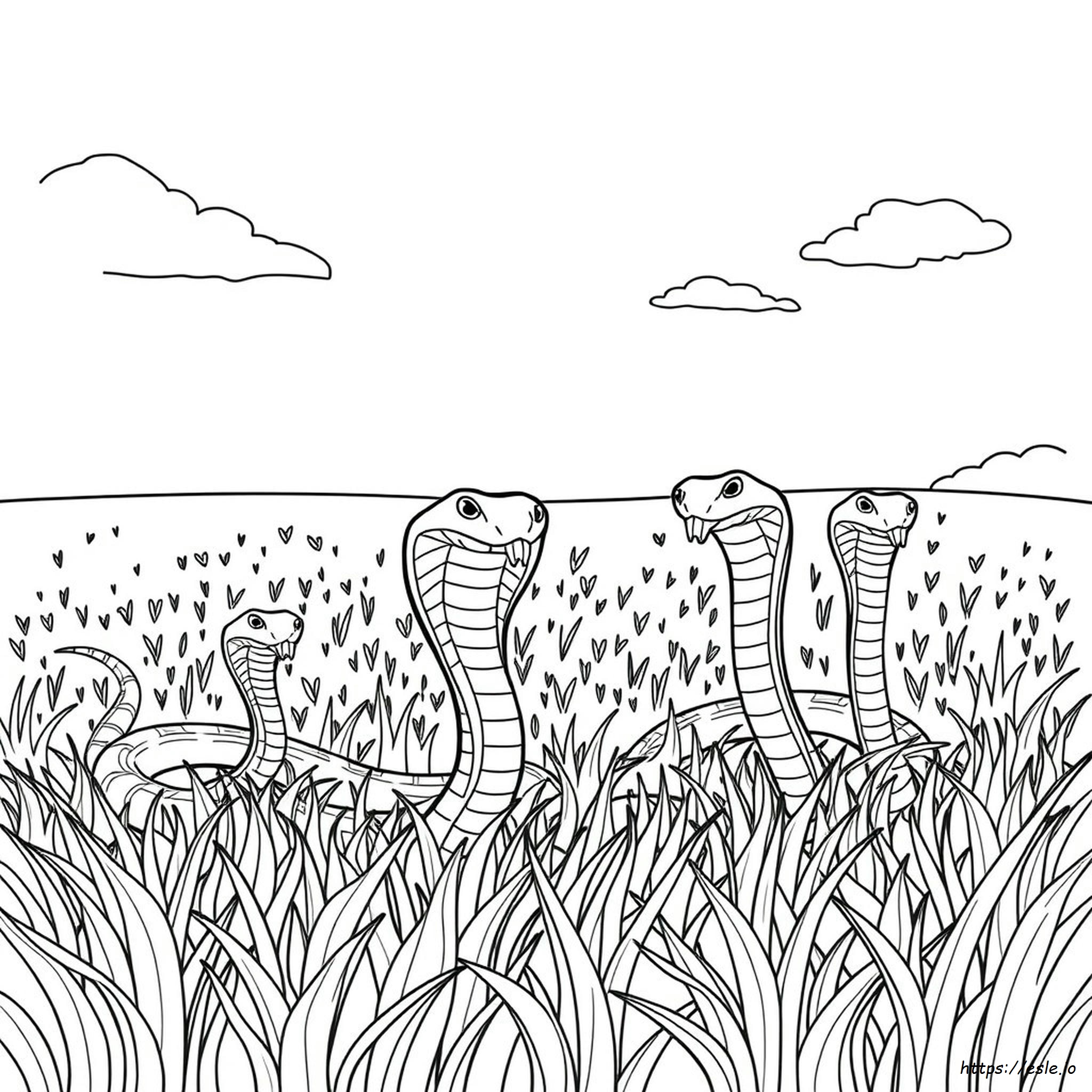 Cobra Colouring In