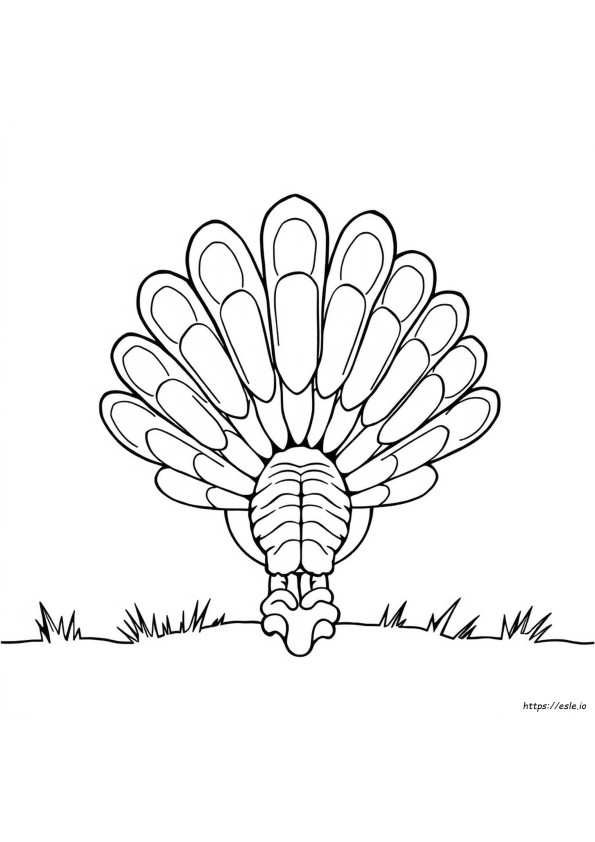 Turkey Tail Coloring Page